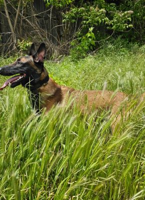 352239505_220498840744105_3528017809350310404_n