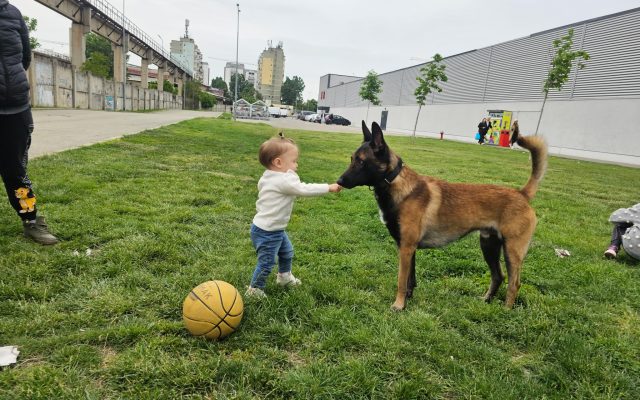 352240095_673518941275972_4334093358307932639_n