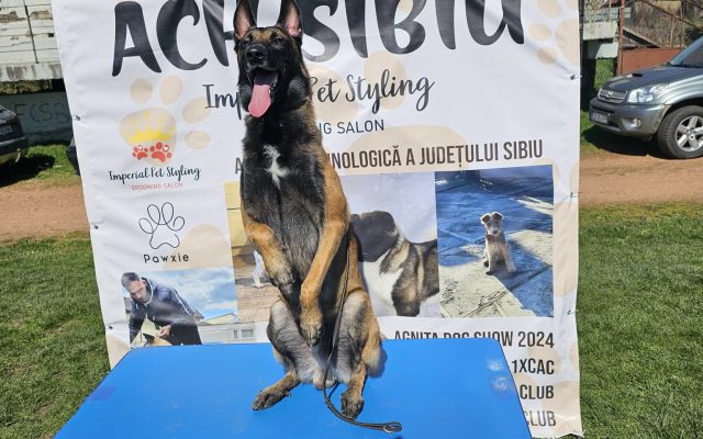 435268893_3602807363264129_1806568423086816685_n