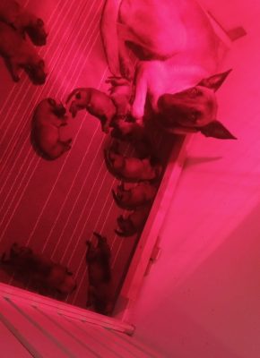 469478058_1271853823938717_3774855219371104054_n