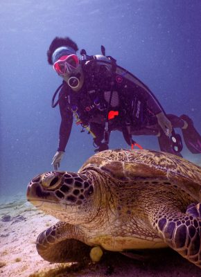 Scuba diver and sea turtle swimming in Komodo, Indonesia's vibrant underwater world.
