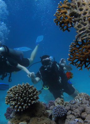 Group of scuba divers swimming near colorful coral reef with fish, showcasing underwater marine life.